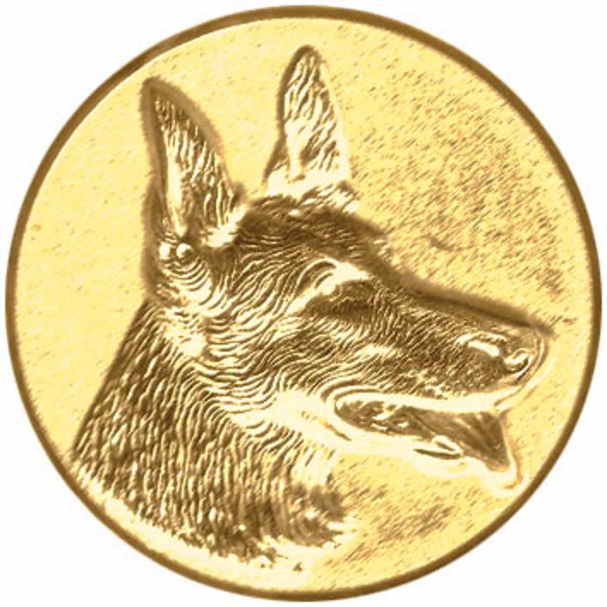 Hundesport 5 (3D)