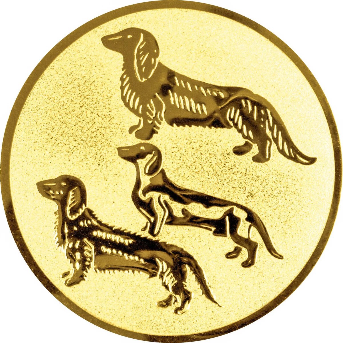 Hundesport 7