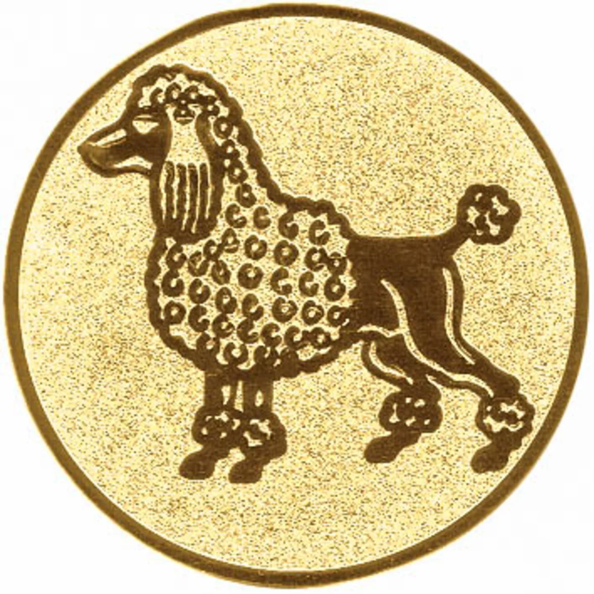 Hundesport/Pudel