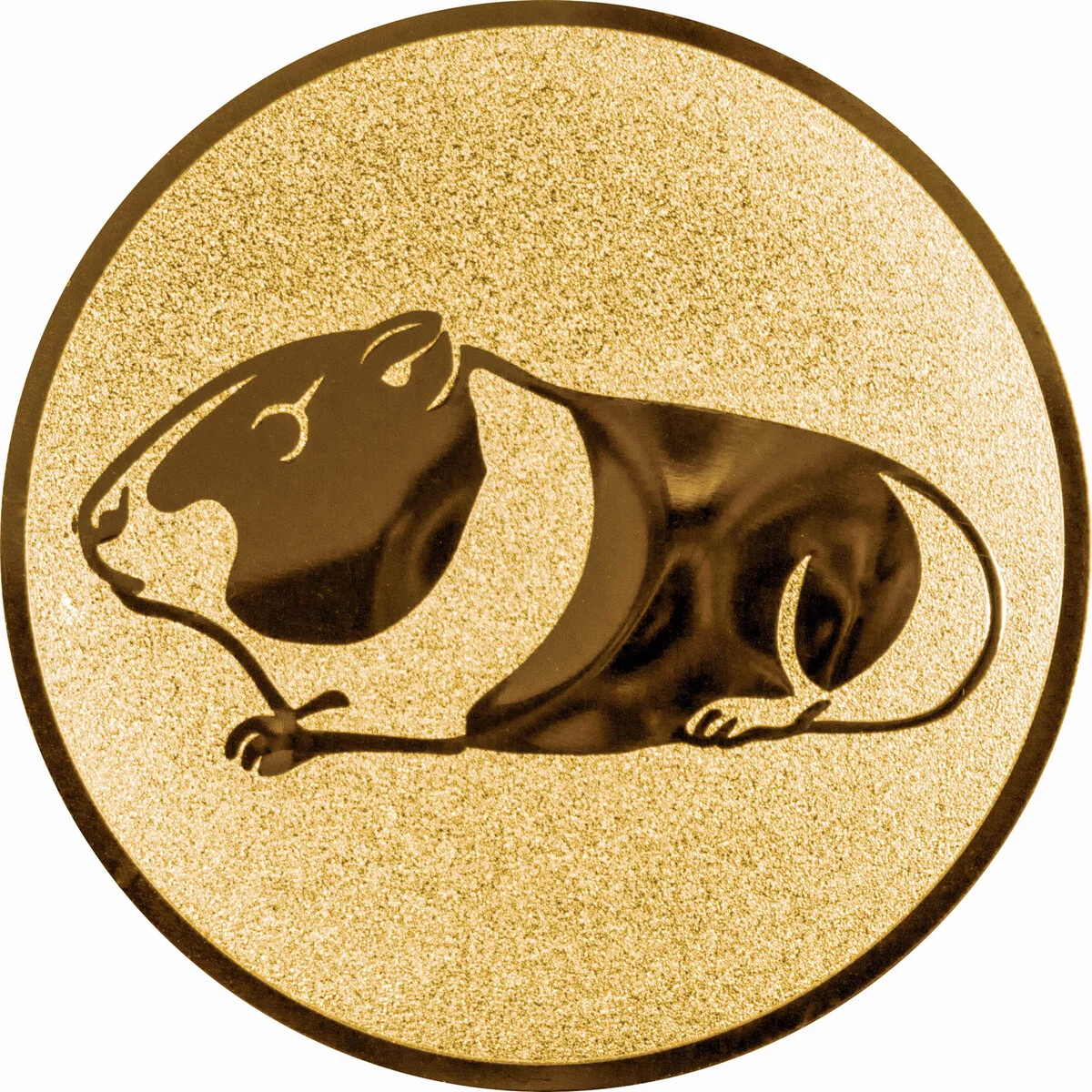Meerschweinchen