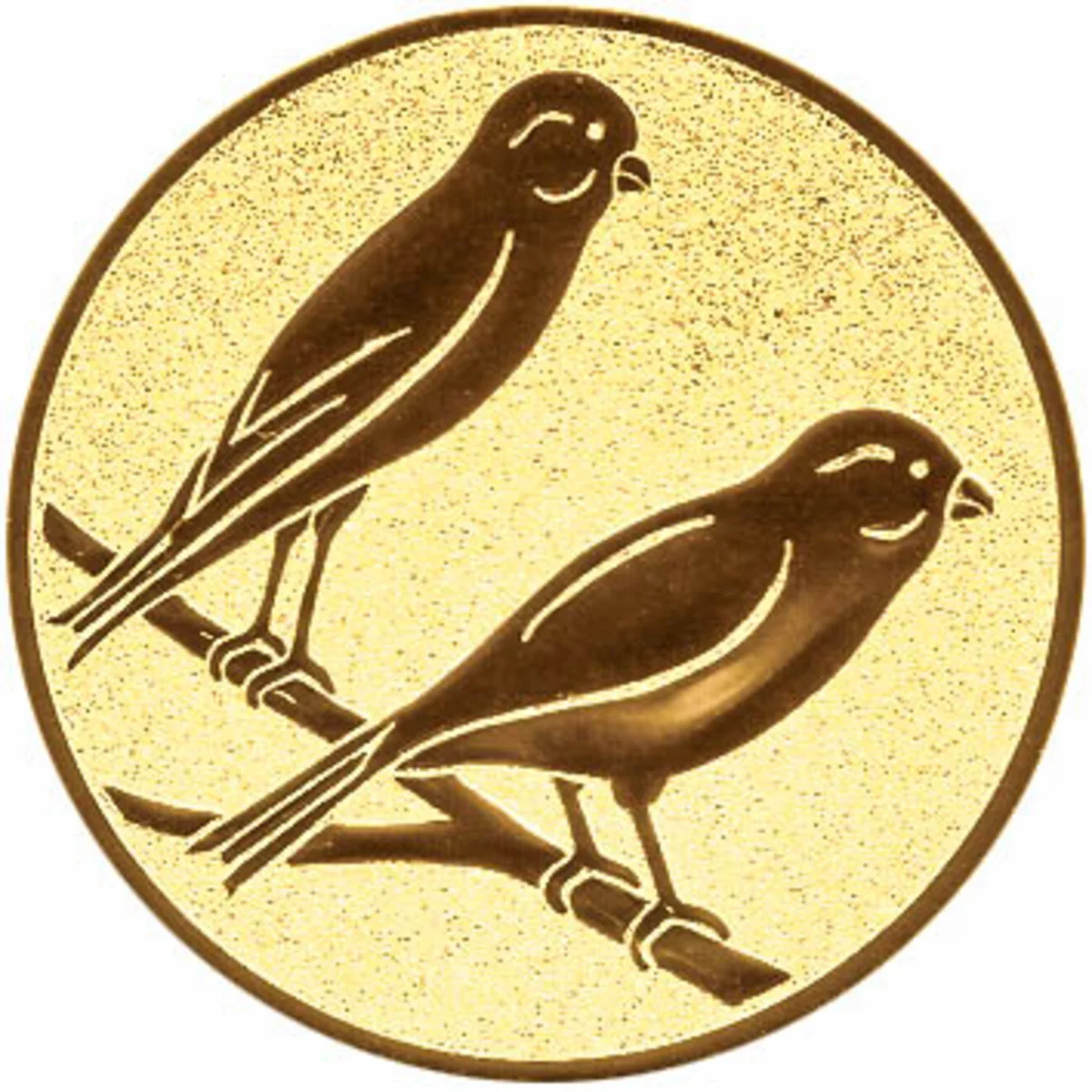 Vögel Kanarien