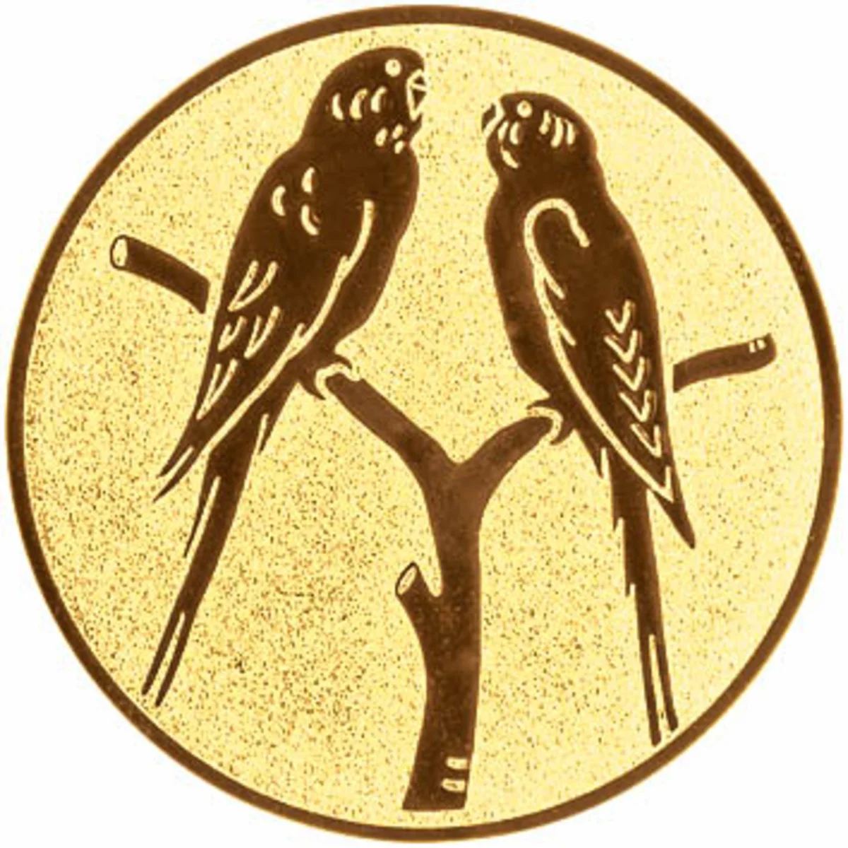 Vögel Wellensittich